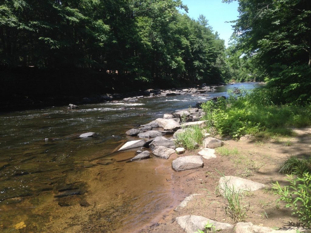 The Beautiful and the Bold – Lackawaxen River - Connections Magazine